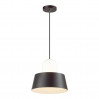 Подвесной светильник Alur Odeon Light 1*60W Е27 черный 4141/1