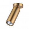 Накладной светильник Nino Odeon Light 4279/1C