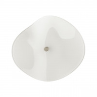 Настенный светильник Odeon Light Exclusive 4856/5WL