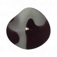 Настенный светильник Fluent Odeon Light Exclusive 4859/5WL