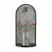 Настенный светильник Odeon Light Giardino 7176/3WL