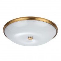 Потолочный светильник Pelow Odeon Light 4956/6