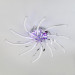 Потолочная LED-люстра Windmill Eurosvet 97.5W 90125/10