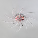 Потолочная LED-люстра Windmill Eurosvet 97.5W 90125/10