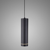 Подвесной светильник Topper Elektrostandard DLR023 черный