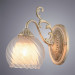 Настенное бра Charlotte Arte Lamp A7062AP-1WG