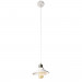 Подвес Lido Arte Lamp 1*60W Е27 A5067SP-1WH