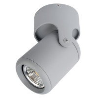 Накладной светильник Libra Arte Lamp A3316PL-1GY