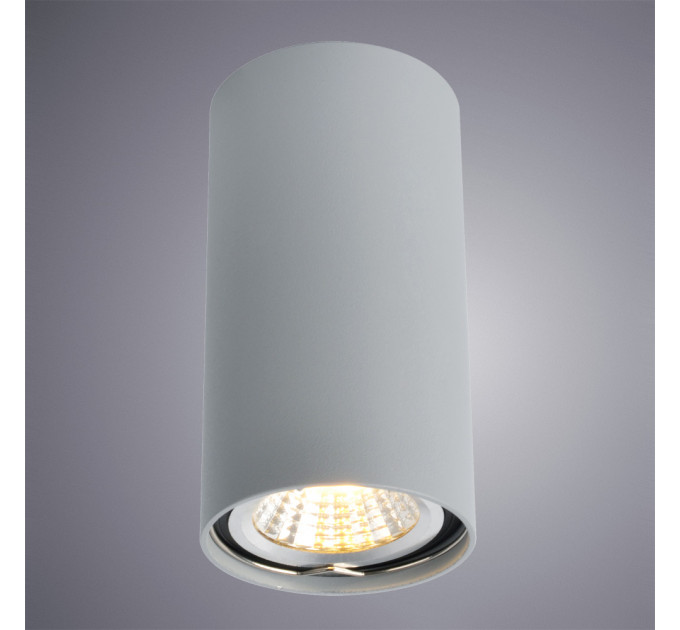 Накладной светильник Unix Arte Lamp A1516PL-1GY