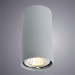 Накладной светильник Unix Arte Lamp A1516PL-1GY