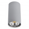 Накладной светильник Unix Arte Lamp A1516PL-1GY