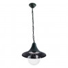 Подвесной уличный светильник Malaga Arte Lamp 1*75W Е27 A1085SO-1BG