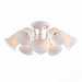 Потолочная люстра Campanula Arte Lamp A6306PL-8WG