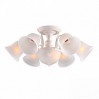 Потолочная люстра Campanula Arte Lamp A6306PL-8WG