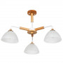 Потолочная люстра Matthew Arte Lamp A5032PL-3BR
