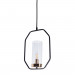 Подвесной светильник Celaeno Arte Lamp A7004SP-1BK