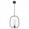 Подвесной светильник Celaeno Arte Lamp A7004SP-1BK