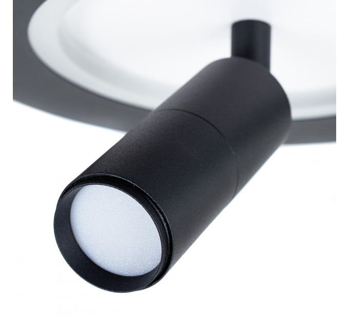 Спот Arte Lamp TOMMY A2607AP-20BK