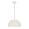 Подвесной светильник Buratto Arte Lamp белый A8173SP-1WH