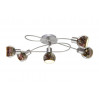 Потолочная люстра  Illusione Arte Lamp A6125PL-5SS