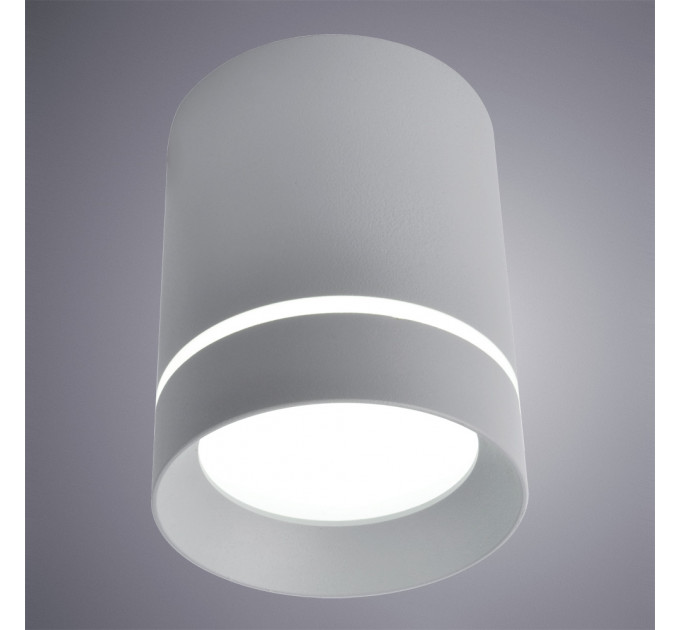 Накладной светильник Elle Arte Lamp A1909PL-1GY