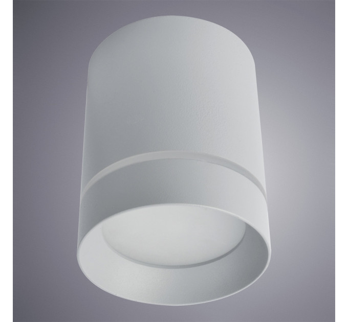 Накладной светильник Elle Arte Lamp A1909PL-1GY