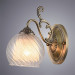Настенное бра Charlotte Arte Lamp A7062AP-1AB