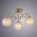 Потолочная люстра Charlotte Arte Lamp A7062PL-3WG