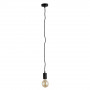 Подвесной светильник Fuori Arte Lamp 1*60W Е27 A9184SP-1BK