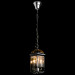 Подвесной светильник Rimini Arte Lamp A6505SP-3CC