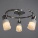 Потолочный светильник Cavalletta Arte Lamp A4510PL-3SS