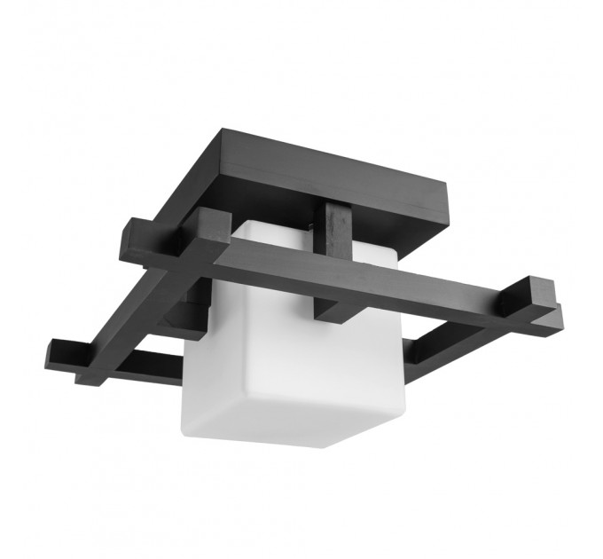 Потолочный светильник Woods Arte Lamp A8252PL-1CK