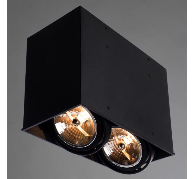 Светильник Arte Lamp CARDANI GRANDE A5936PL-2BK
