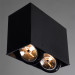 Светильник Arte Lamp CARDANI GRANDE A5936PL-2BK