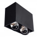 Светильник Arte Lamp CARDANI GRANDE A5936PL-2BK