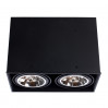 Светильник Arte Lamp CARDANI GRANDE A5936PL-2BK