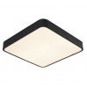 Потолочный светильник Scena Arte Lamp LED A2663PL-1BK