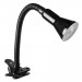 Настольная лампа Cord Arte Lamp A1210LT-1BK