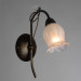 Настенное бра Glamore Arte Lamp A7449AP-1BR