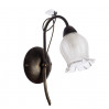 Настенное бра Glamore Arte Lamp A7449AP-1BR