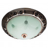 Светильник Arte Lamp ALTA A3014PL-2AC