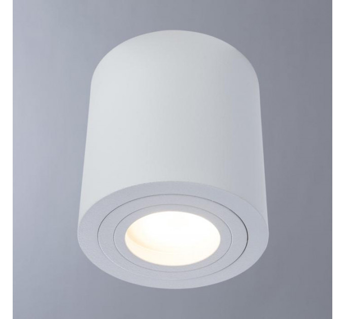 Накладной светильник Galopin Arte Lamp 1460/03 PL-1