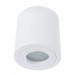 Накладной светильник Galopin Arte Lamp 1460/03 PL-1