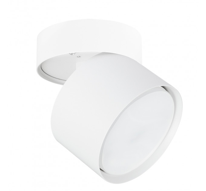 Накладной поворотный светильник Arte Lamp Intercrus A5549PL-1WH