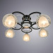 Потолочная люстра Ginevra Arte Lamp 5*40W Е14 A1604PL-5BK