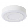 Накладной светильник Antares Arte Lamp LED 3W A7806PL-2WH