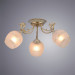 Потолочная люстра София Arte Lamp 3*60W Е27 A7060PL-3WG