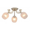 Потолочная люстра София Arte Lamp 3*60W Е27 A7060PL-3WG