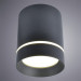 Накладной светильник Elle Arte Lamp A1909PL-1BK