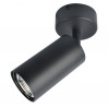 Спот Aquarius Arte Lamp черный A3216PL-1BK